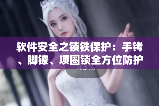 软件安全之锁铁保护：手铐、脚镣、项圈锁全方位防护