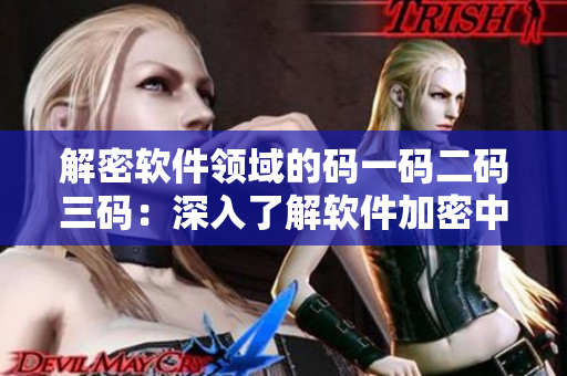 解密软件领域的码一码二码三码：深入了解软件加密中的核心概念