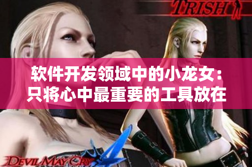 软件开发领域中的小龙女：只将心中最重要的工具放在工作台上