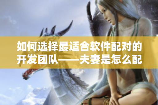 如何选择最适合软件配对的开发团队——夫妻是怎么配的种