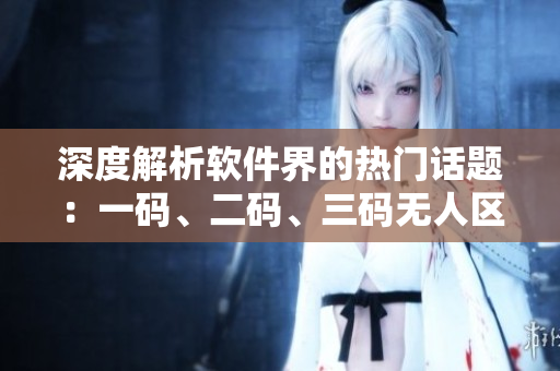 深度解析软件界的热门话题：一码、二码、三码无人区的区别！