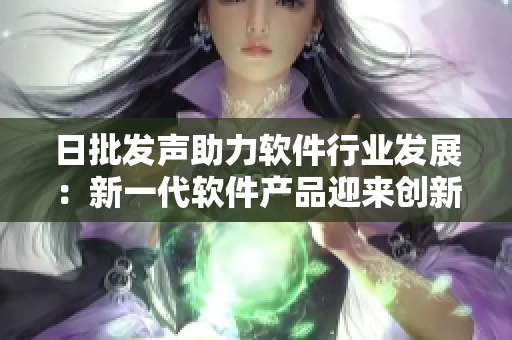 日批发声助力软件行业发展：新一代软件产品迎来创新突破