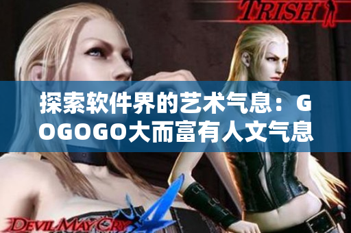 探索软件界的艺术气息：GOGOGO大而富有人文气息的软件包