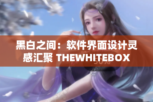 黑白之间：软件界面设计灵感汇聚 THEWHITEBOX