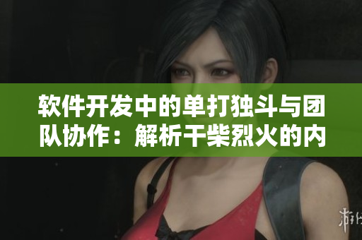 软件开发中的单打独斗与团队协作：解析干柴烈火的内涵