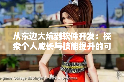 从东边大炕到软件开发：探索个人成长与技能提升的可能性