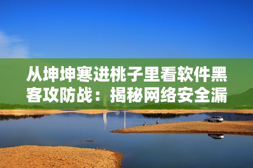 从坤坤寒进桃子里看软件黑客攻防战：揭秘网络安全漏洞与预防方法