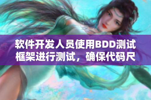 软件开发人员使用BDD测试框架进行测试，确保代码尺寸符合要求