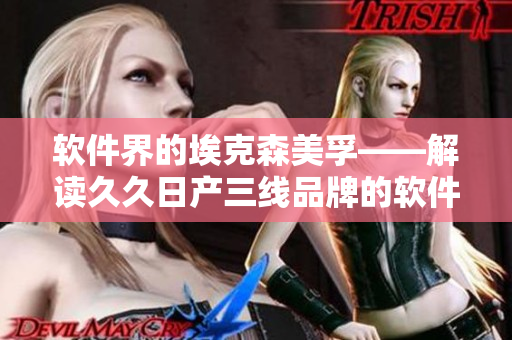 软件界的埃克森美孚——解读久久日产三线品牌的软件行业转化之路
