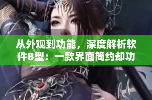 从外观到功能，深度解析软件B型：一款界面简约却功能强大的多平台软件