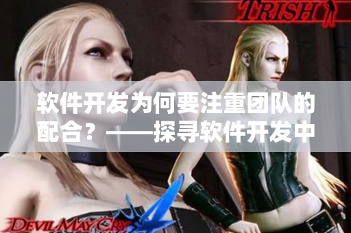 软件开发为何要注重团队的配合？——探寻软件开发中的夫妻配对之道