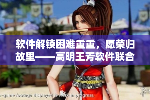 软件解锁困难重重，愿荣归故里——高明王芳软件联合创业故事