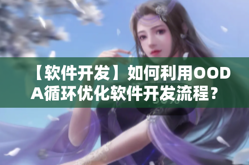 【软件开发】如何利用OODA循环优化软件开发流程？