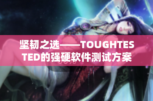 坚韧之选——TOUGHTESTED的强硬软件测试方案