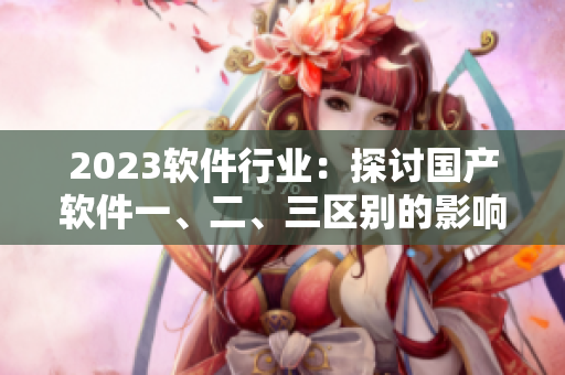 2023软件行业：探讨国产软件一、二、三区别的影响与发展趋势
