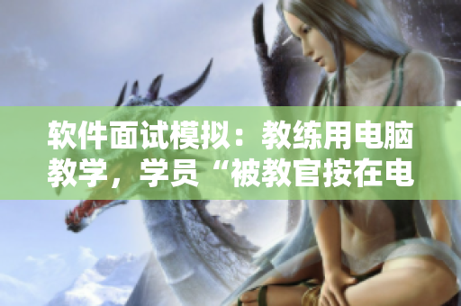 软件面试模拟：教练用电脑教学，学员“被教官按在电脑前学得手软”