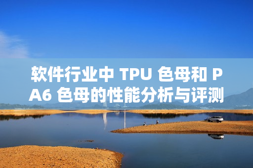 软件行业中 TPU 色母和 PA6 色母的性能分析与评测