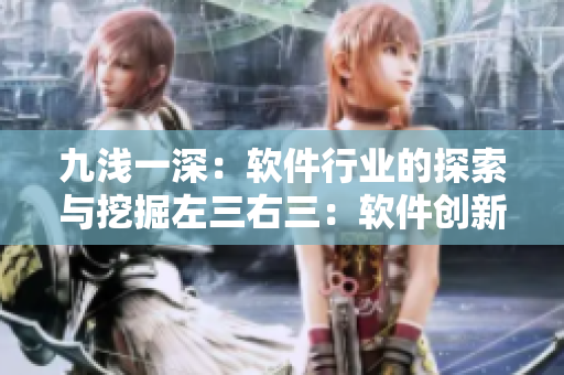 九浅一深：软件行业的探索与挖掘左三右三：软件创新的奥秘揭秘