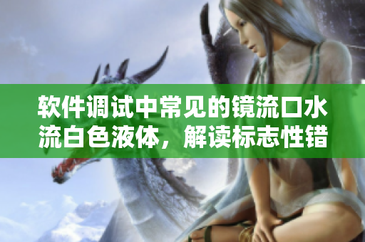 软件调试中常见的镜流口水流白色液体，解读标志性错误提示