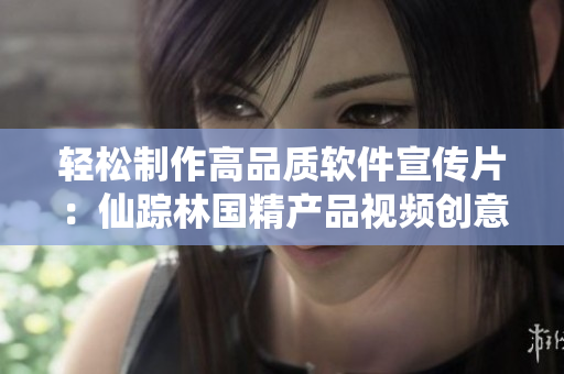 轻松制作高品质软件宣传片：仙踪林国精产品视频创意分享