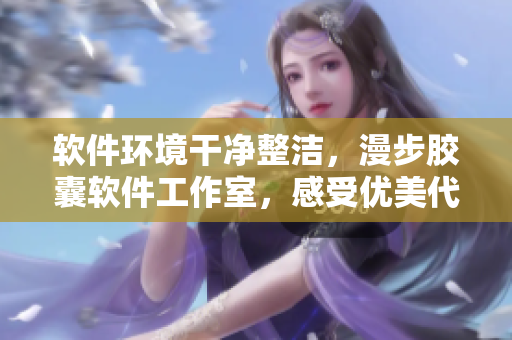 软件环境干净整洁，漫步胶囊软件工作室，感受优美代码之美