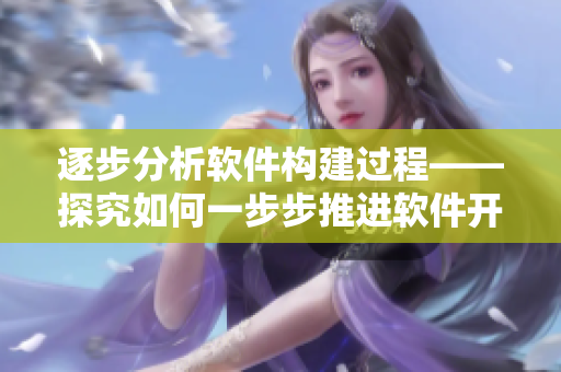 逐步分析软件构建过程——探究如何一步步推进软件开发