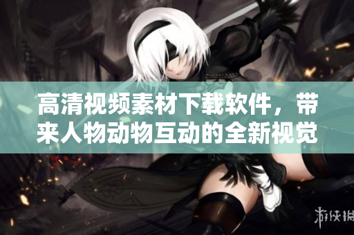 高清视频素材下载软件，带来人物动物互动的全新视觉体验