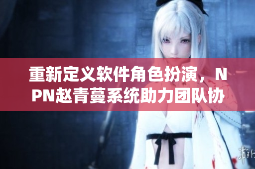 重新定义软件角色扮演，NPN赵青蔓系统助力团队协作