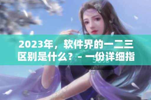 2023年，软件界的一二三区别是什么？– 一份详细指南