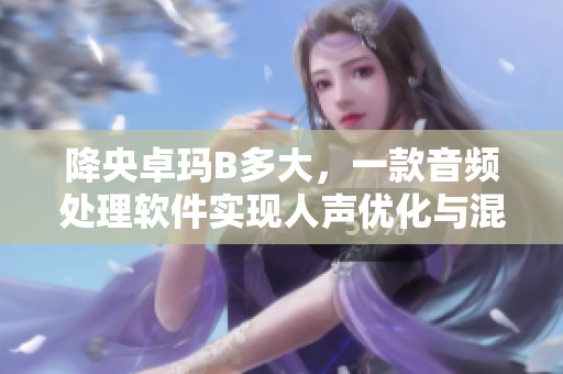 降央卓玛B多大，一款音频处理软件实现人声优化与混响