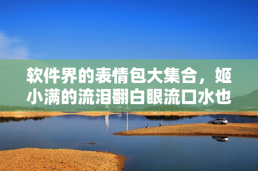 软件界的表情包大集合，姬小满的流泪翻白眼流口水也加入其中