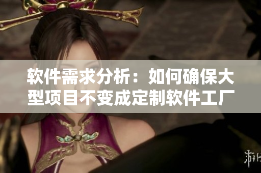 软件需求分析：如何确保大型项目不变成定制软件工厂