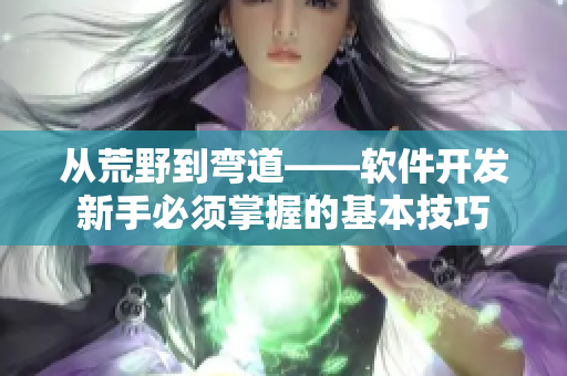 从荒野到弯道——软件开发新手必须掌握的基本技巧