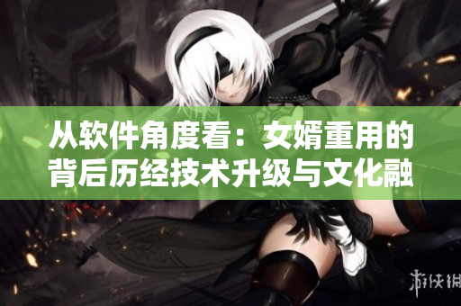 从软件角度看：女婿重用的背后历经技术升级与文化融合
