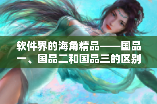 软件界的海角精品——国品一、国品二和国品三的区别解析