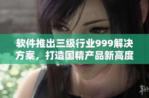 软件推出三级行业999解决方案，打造国精产品新高度