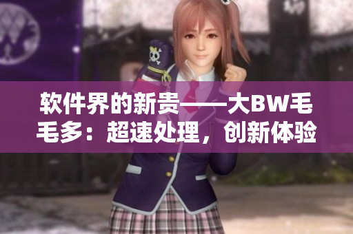 软件界的新贵——大BW毛毛多：超速处理，创新体验
