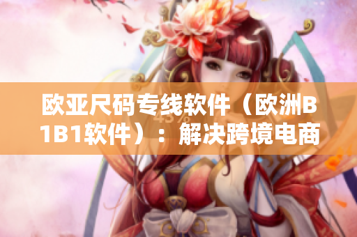 欧亚尺码专线软件（欧洲B1B1软件）：解决跨境电商尺码难题