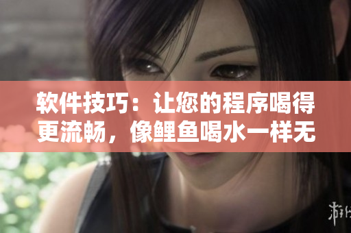 软件技巧：让您的程序喝得更流畅，像鲤鱼喝水一样无压力
