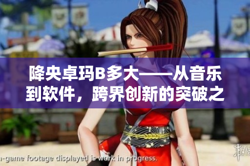 降央卓玛B多大——从音乐到软件，跨界创新的突破之路