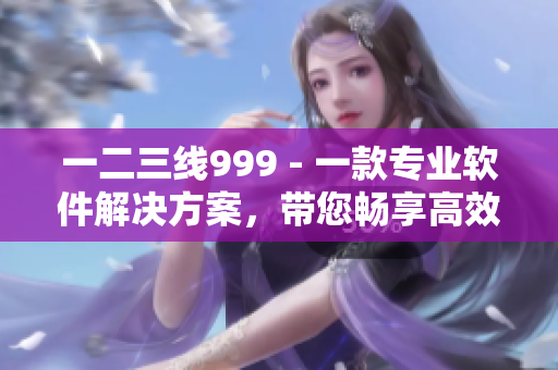 一二三线999 - 一款专业软件解决方案，带您畅享高效办公！