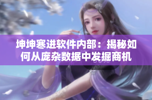 坤坤寒进软件内部：揭秘如何从庞杂数据中发掘商机