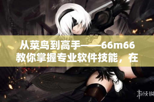 从菜鸟到高手——66m66教你掌握专业软件技能，在四步内达成成长！