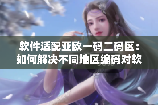 软件适配亚欧一码二码区：如何解决不同地区编码对软件造成的问题？