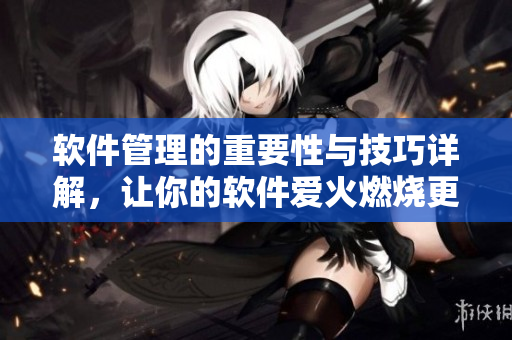 软件管理的重要性与技巧详解，让你的软件爱火燃烧更久！