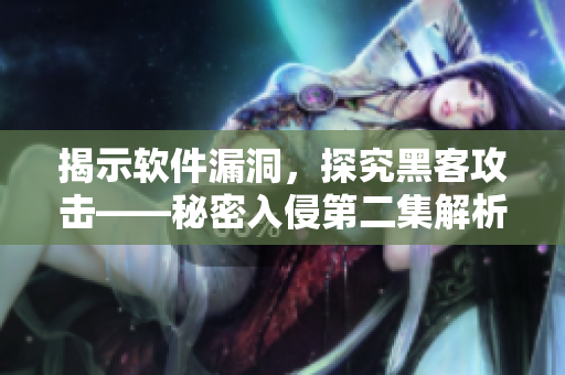 揭示软件漏洞，探究黑客攻击——秘密入侵第二集解析