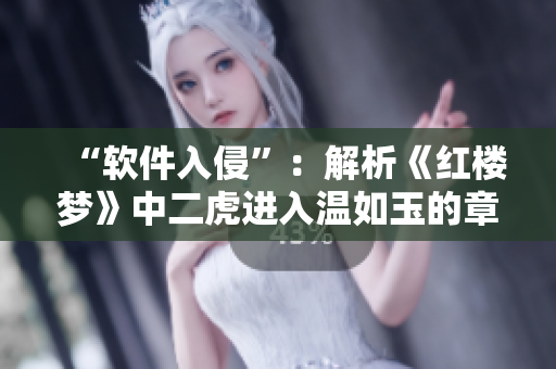 “软件入侵”：解析《红楼梦》中二虎进入温如玉的章节描写