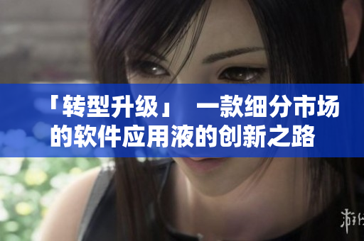 「转型升级」  一款细分市场的软件应用液的创新之路