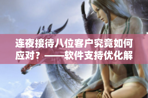 连夜接待八位客户究竟如何应对？——软件支持优化解决方案