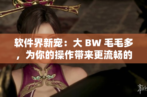 软件界新宠：大 BW 毛毛多，为你的操作带来更流畅的体验
